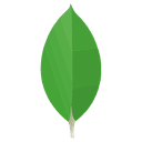 MongoDB